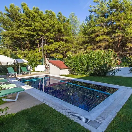 Vilă Tatil Premium Citrus *