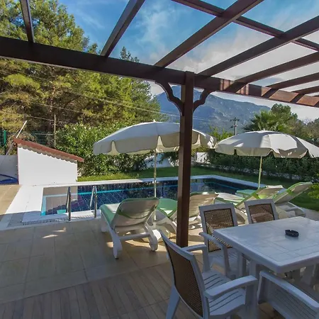 Tatil Premium Citrus *