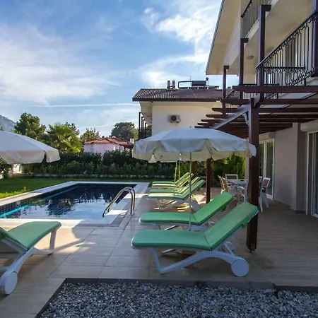 Tatil Premium Citrus